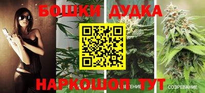 молекула духа Сланцы