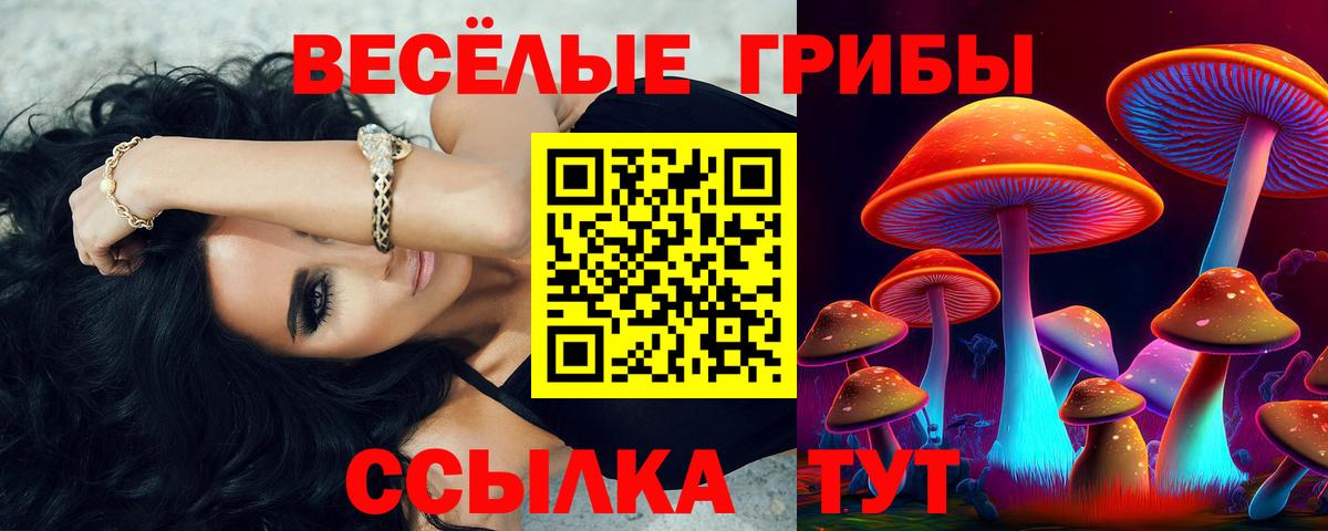 Галлюциногенные грибы Magic Shrooms  Вход с VPN  Орёл 